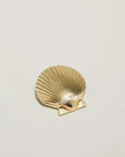 Bailey Shell Brooch