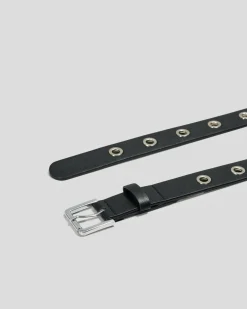 Black Hole Belt