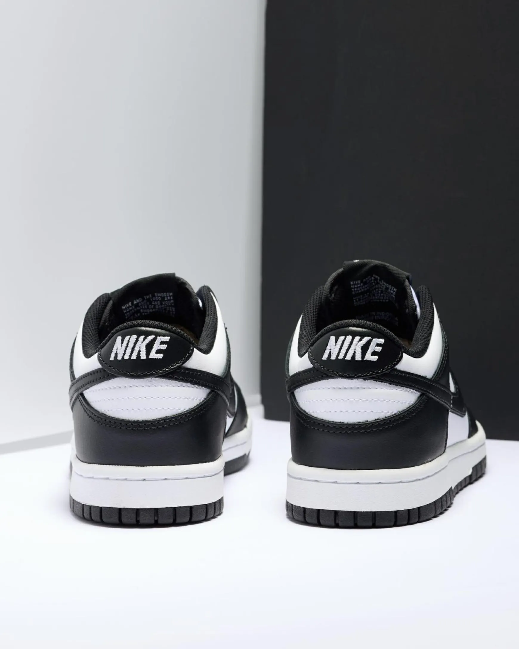 Boys' Dunk Low Shoes