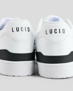 Brixton Shoes