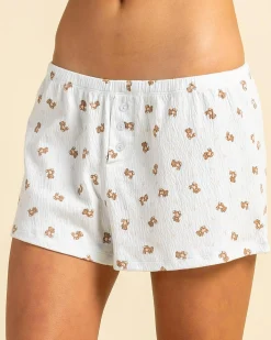 Brother Bear Boxer