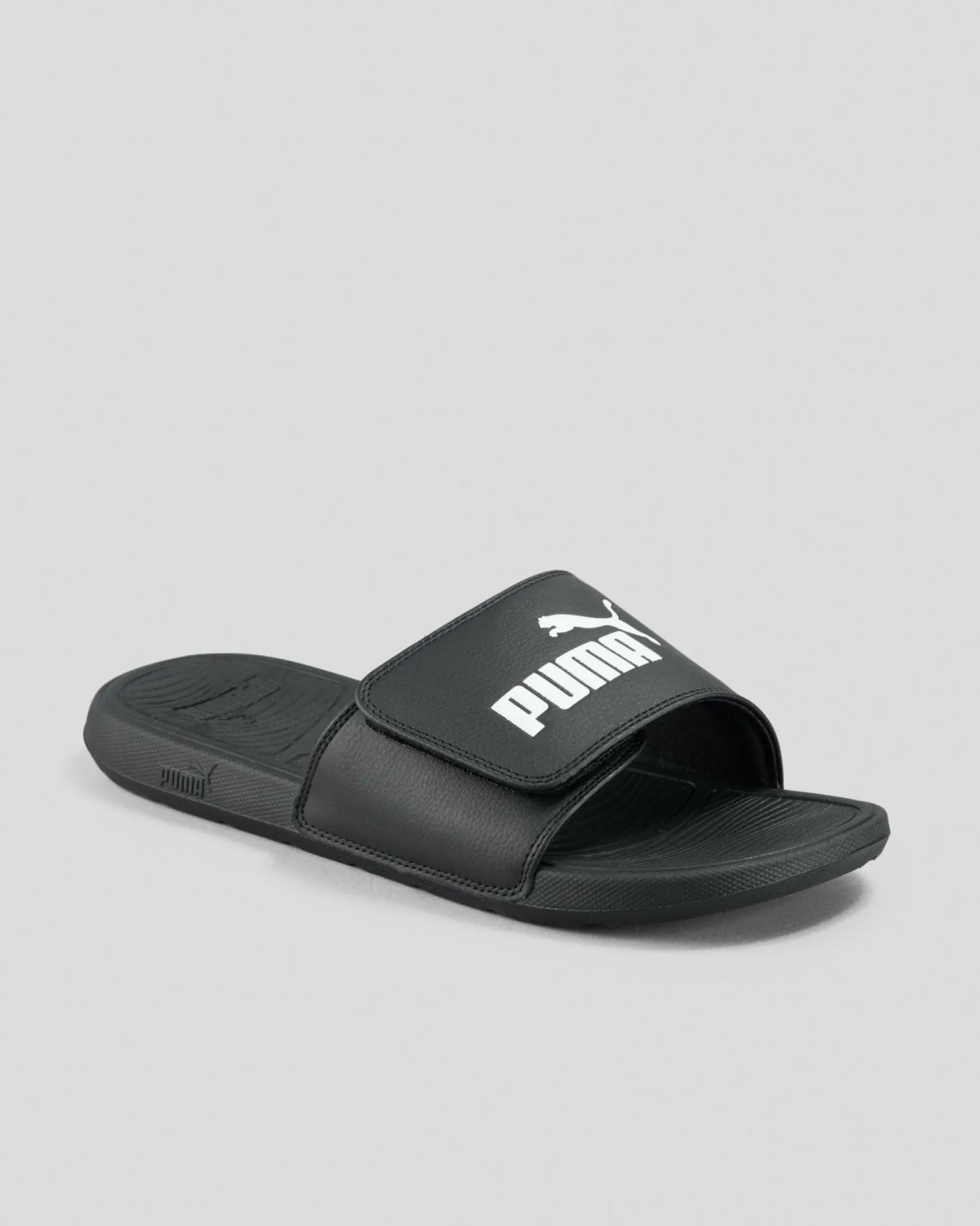 Cool Cat 2.0 Slides