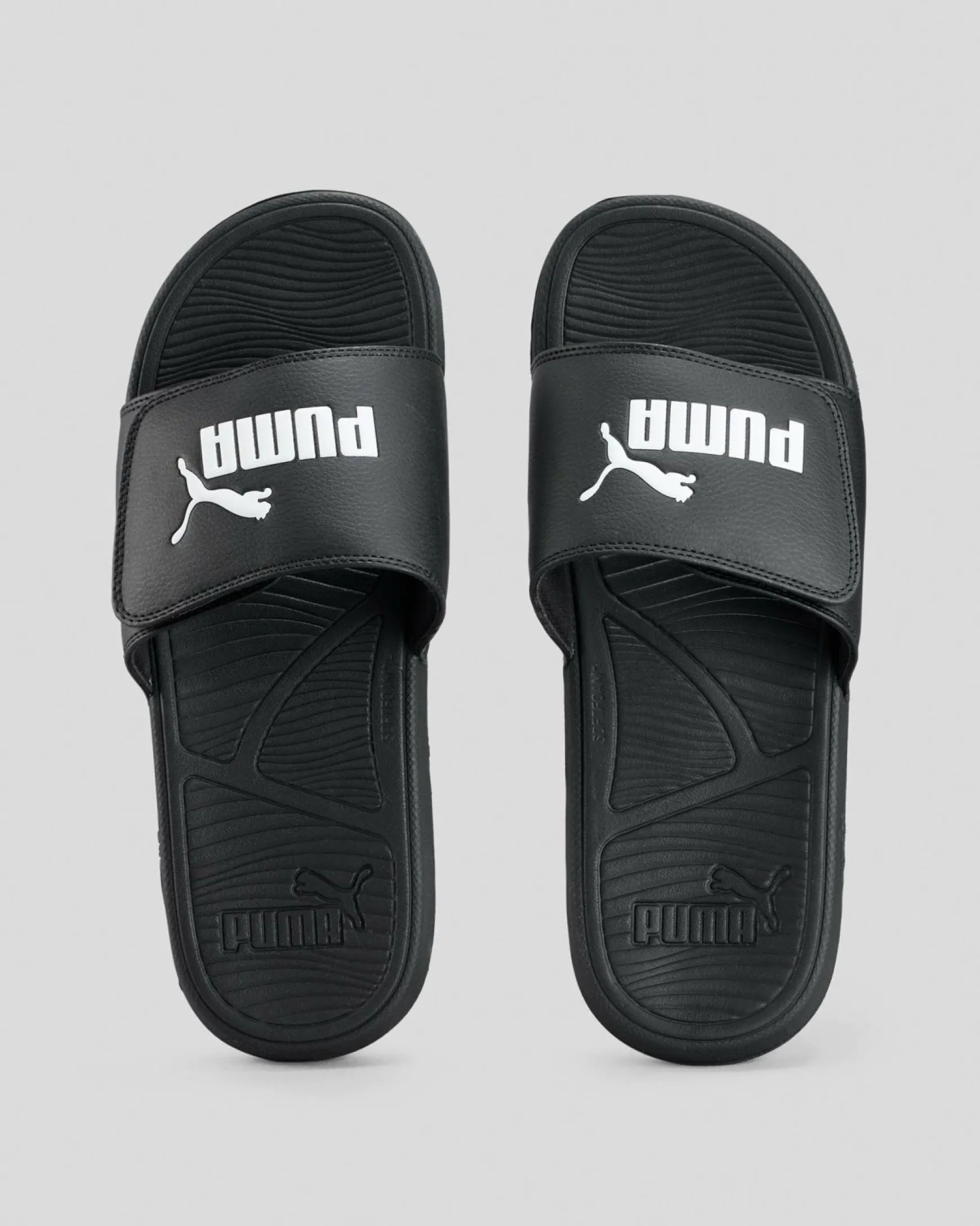 Cool Cat 2.0 Slides