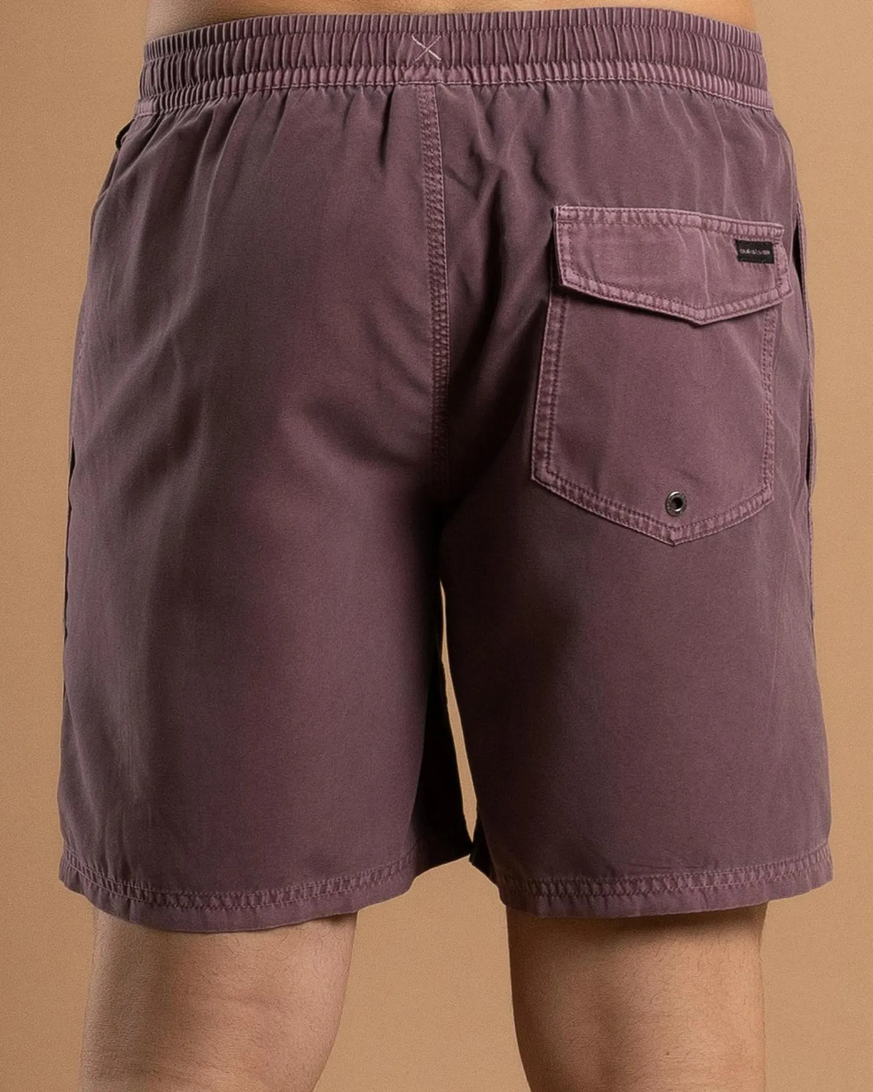 Everyday Surfwash Volley 17" Board Shorts