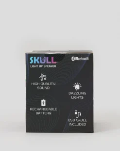 Light Up Skull Speaker