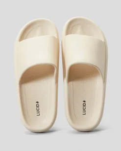 Rebound Slides