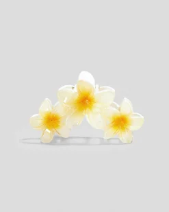 Summer Day Hair Claw Clip