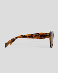 Vermont Sunglasses